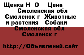 Щенки Н. О. › Цена ­ 10 000 - Смоленская обл., Смоленск г. Животные и растения » Собаки   . Смоленская обл.,Смоленск г.